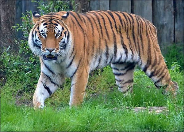 ZOO Hodonín