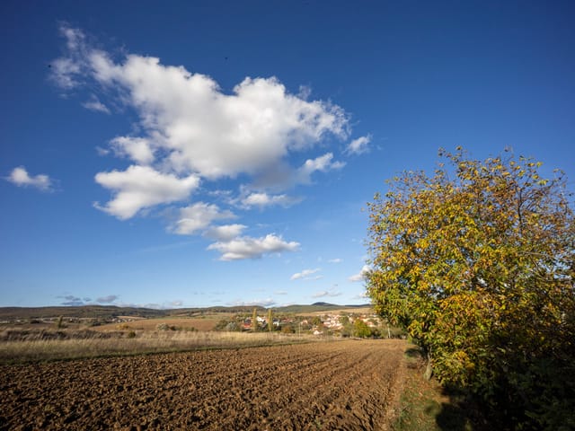 Domek Za Rožkem